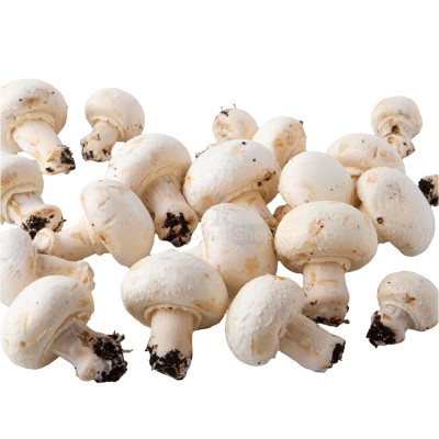 Шампиньоны свежие 500 г - купить в Верхней Верченке